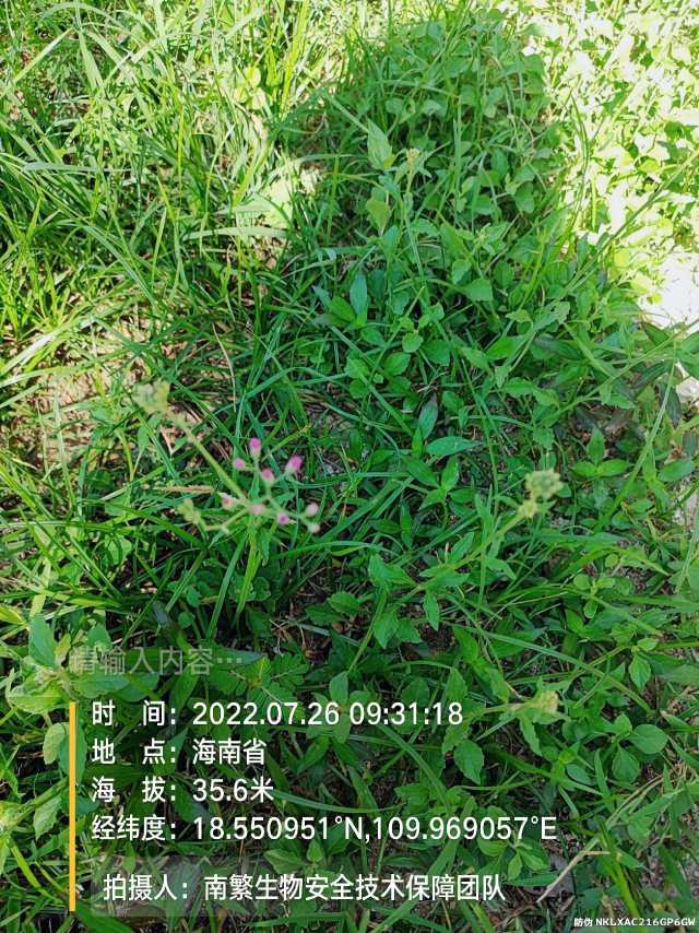请输入内容…