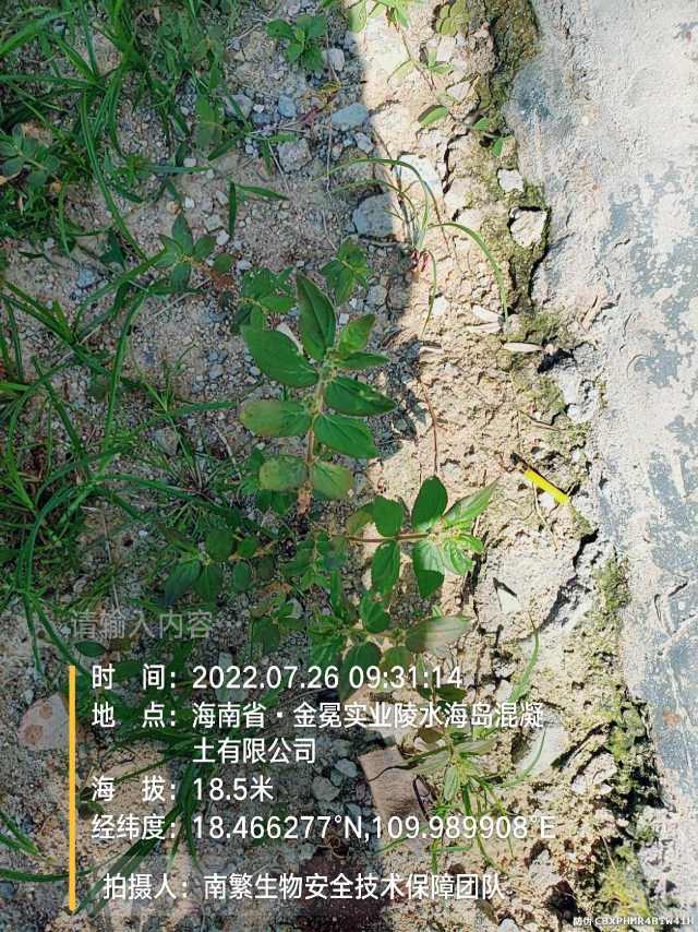 请输入内容…