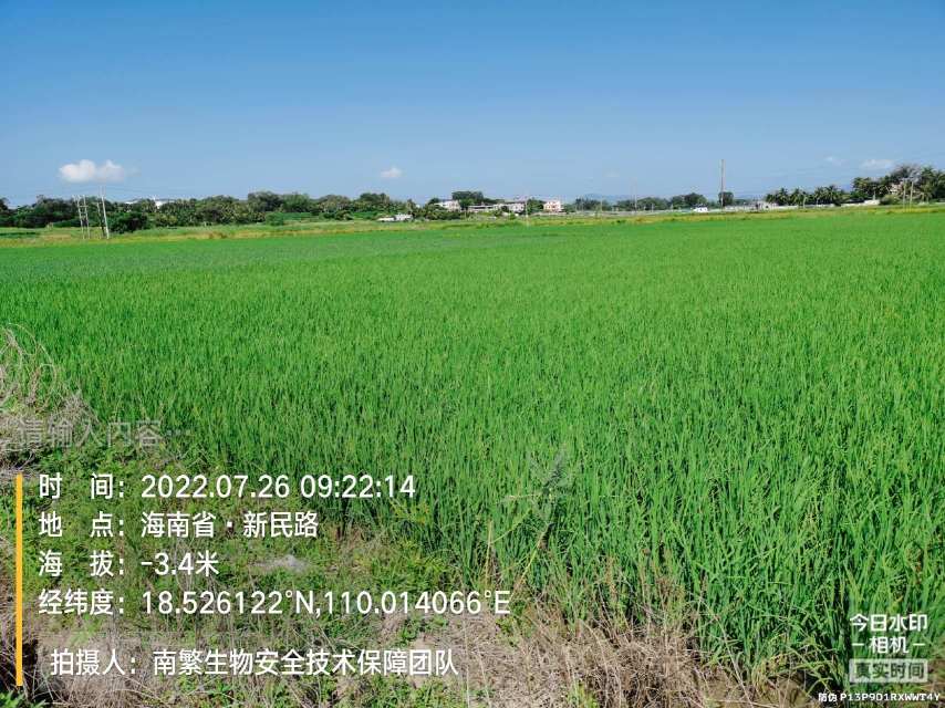 请输入内容…