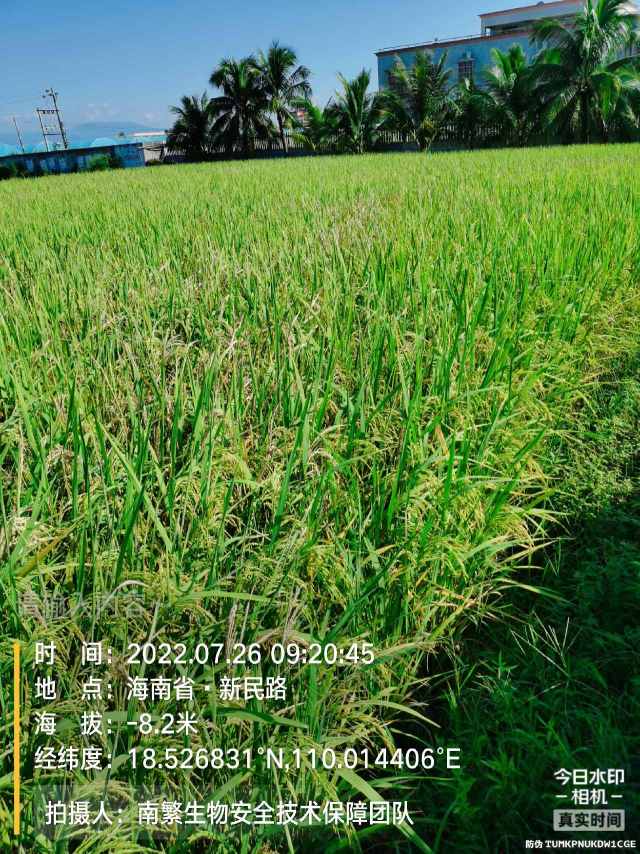 请输入内容…