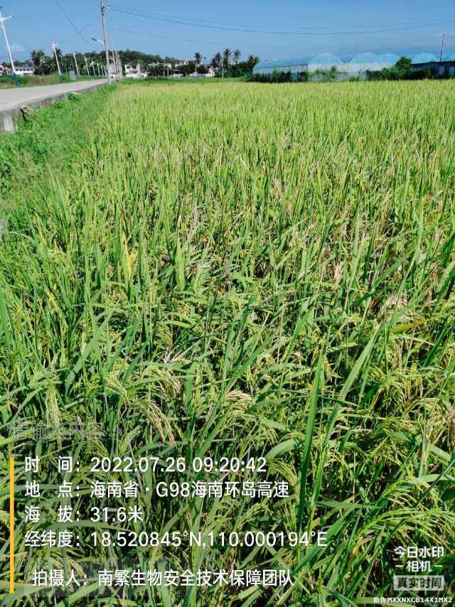 请输入内容…