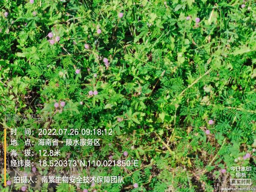 请输入内容…