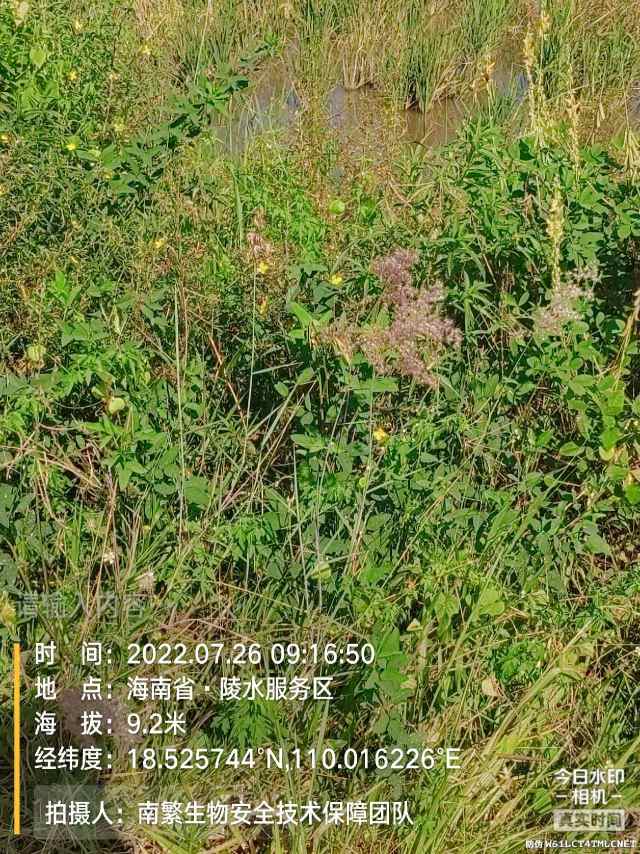 请输入内容…