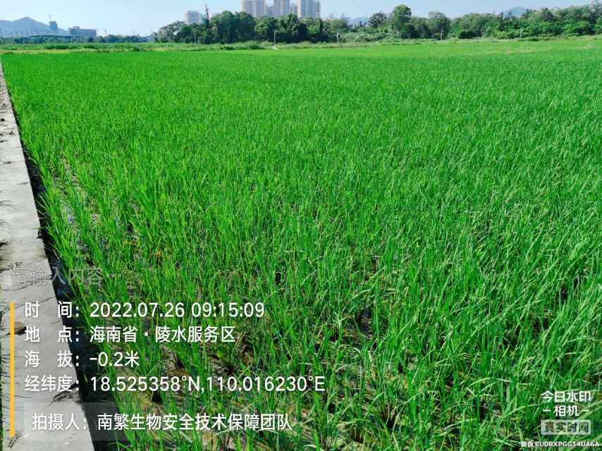 请输入内容…
