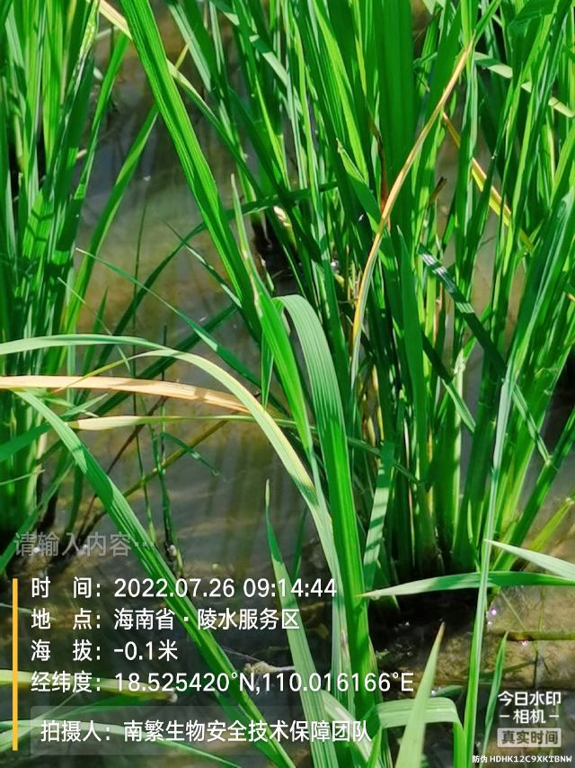 请输入内容…