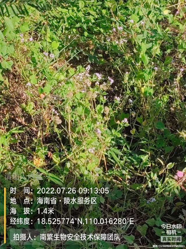 请输入内容…
