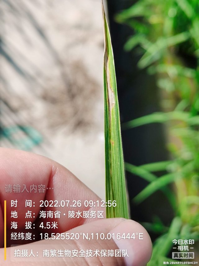 请输入内容…