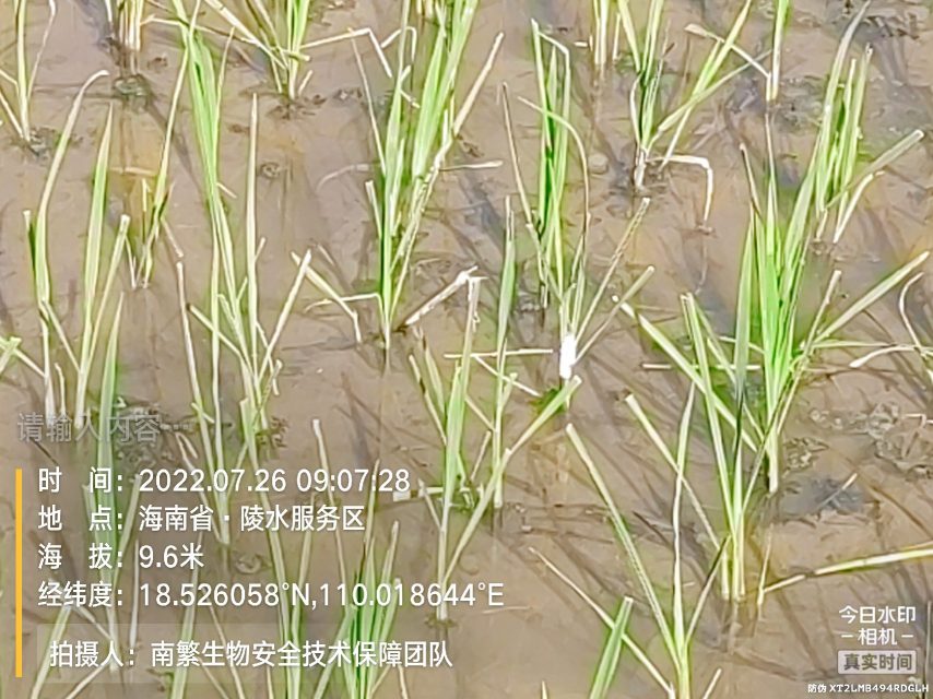 请输入内容…