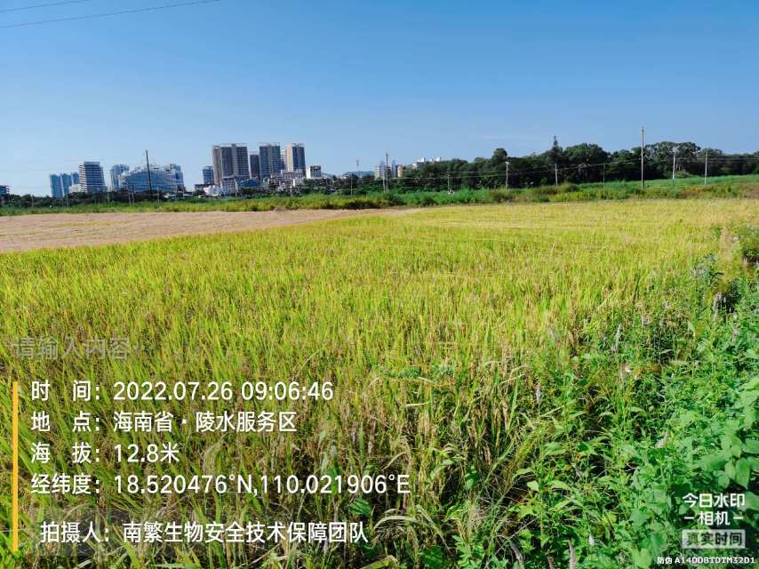 请输入内容…