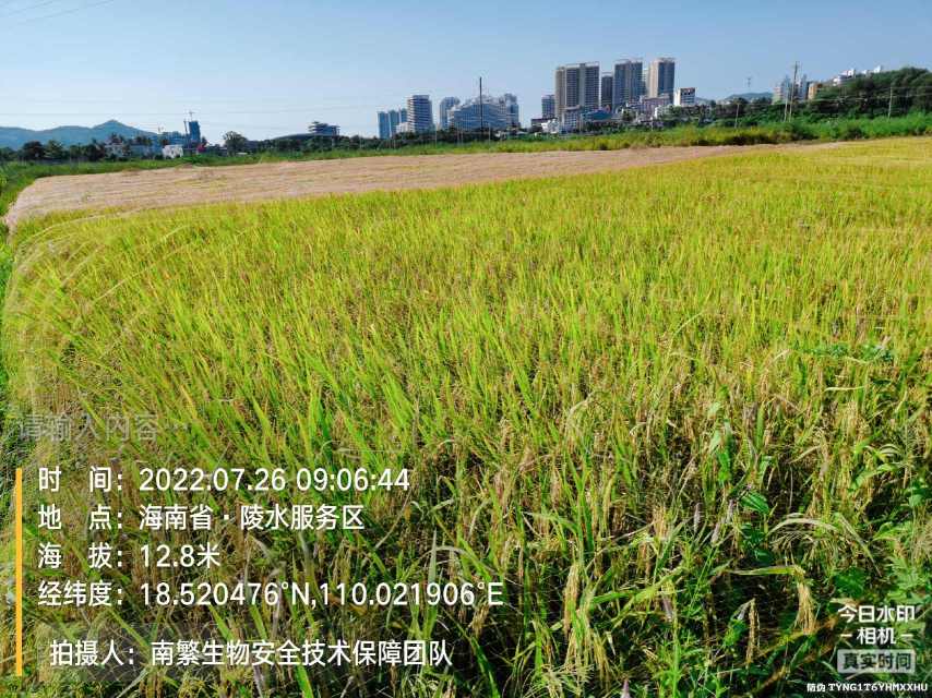 请输入内容…