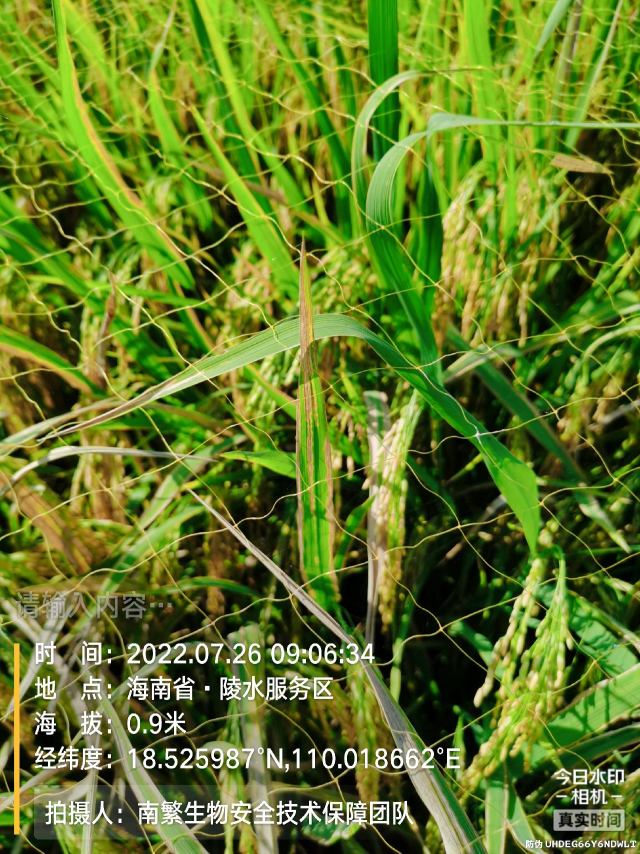 请输入内容…