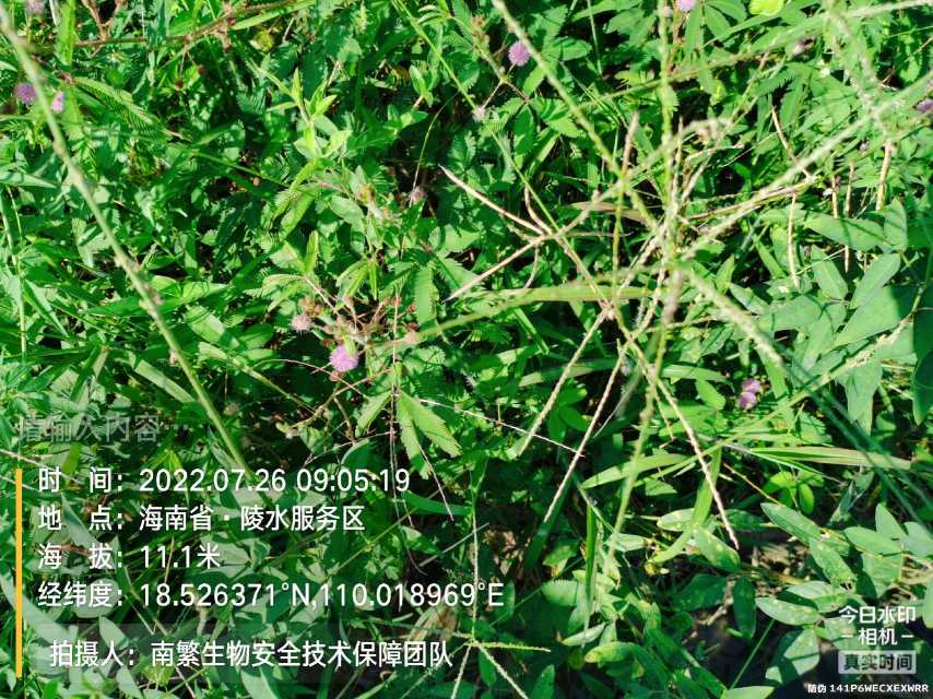 请输入内容…