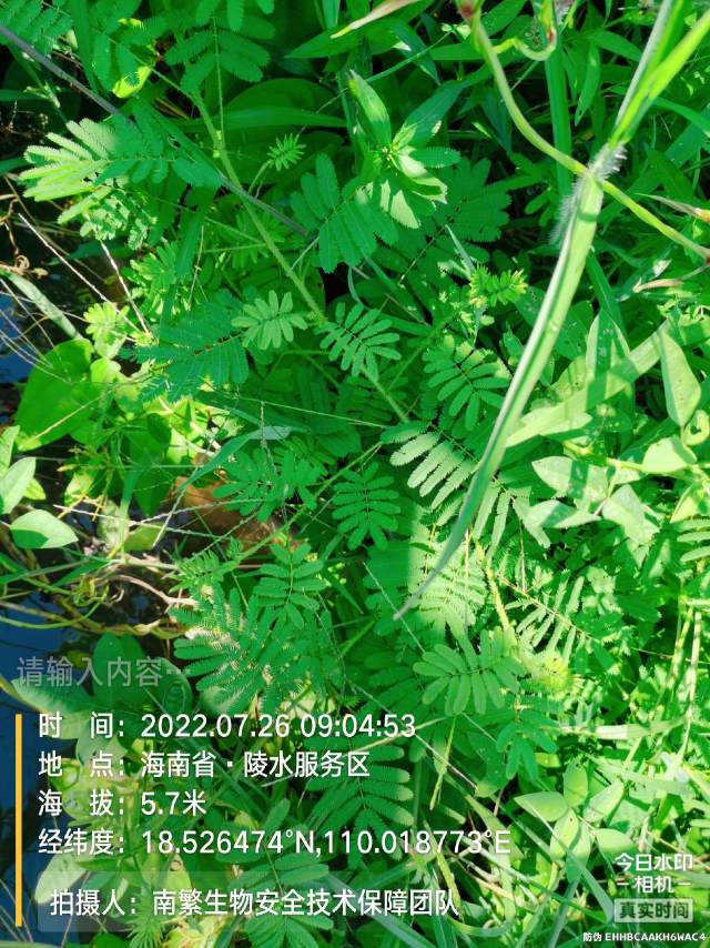 请输入内容…