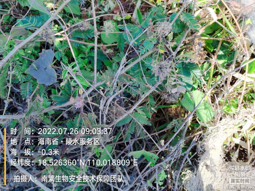 请输入内容…