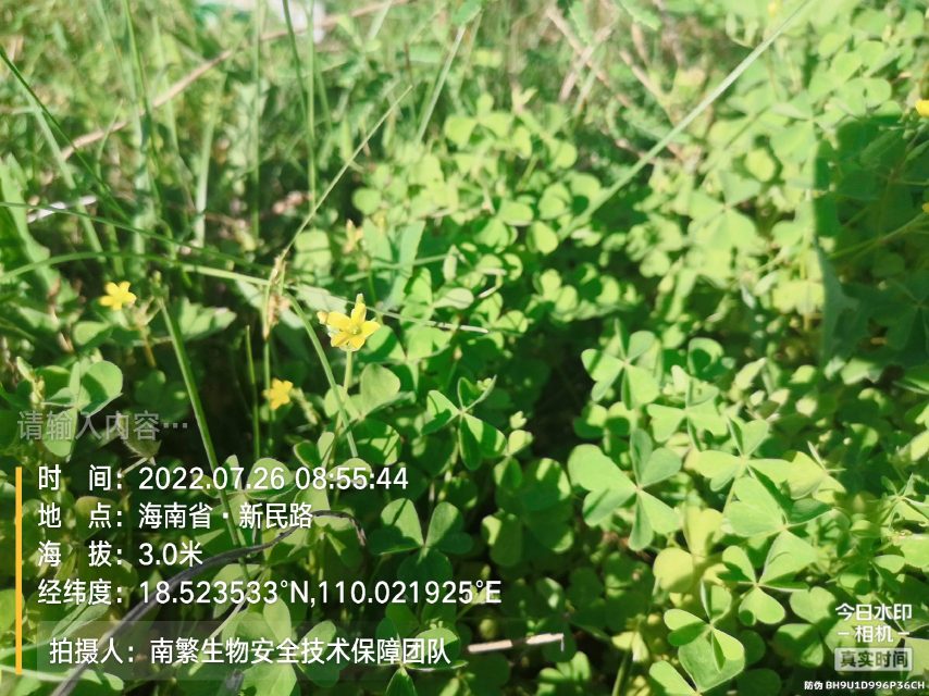 请输入内容…