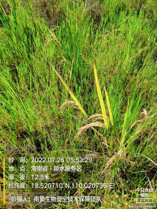 请输入内容…