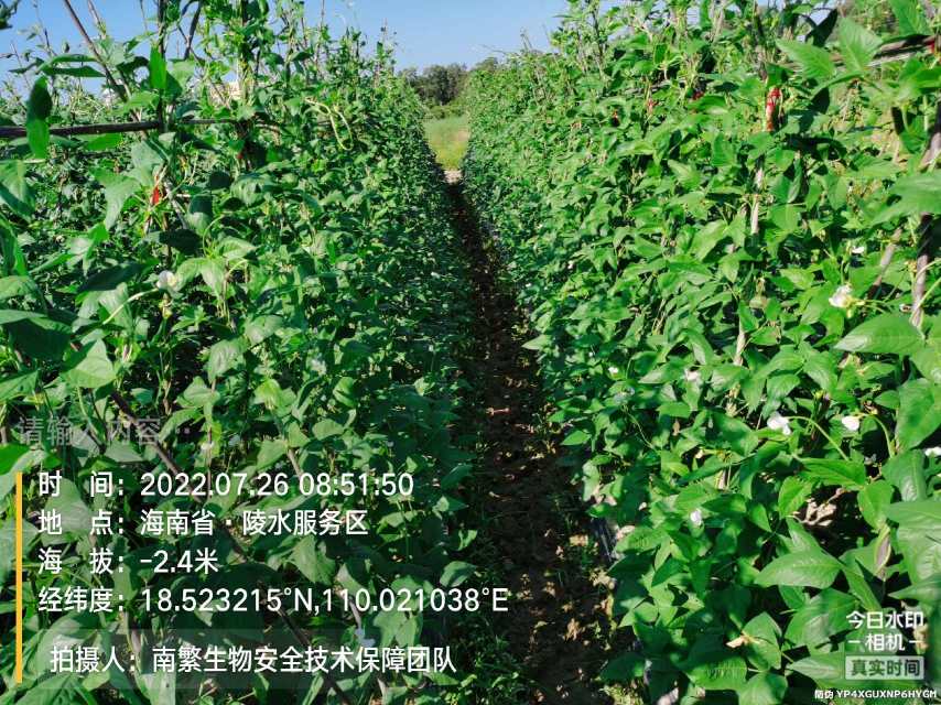 请输入内容…