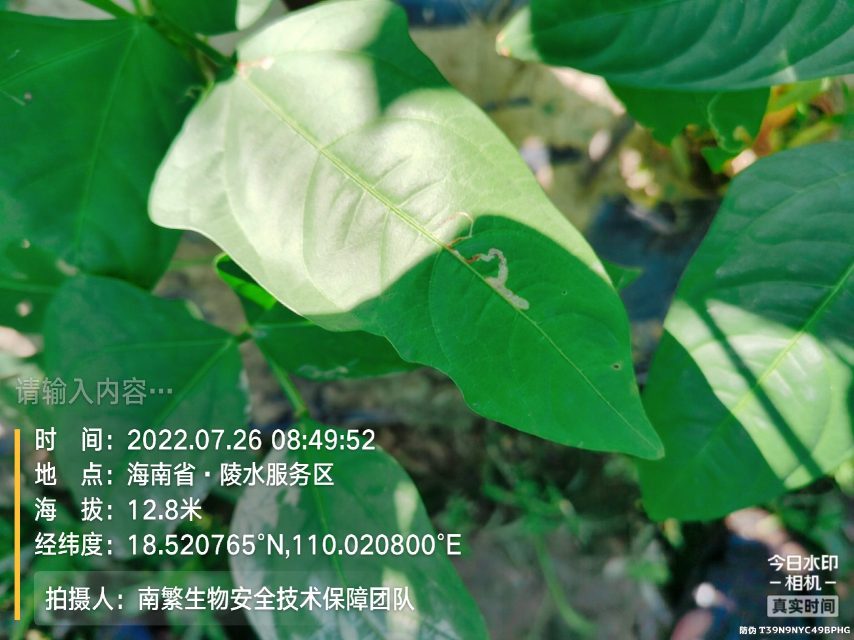 请输入内容…
