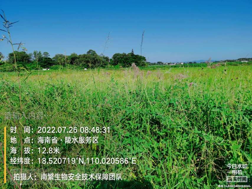 请输入内容…