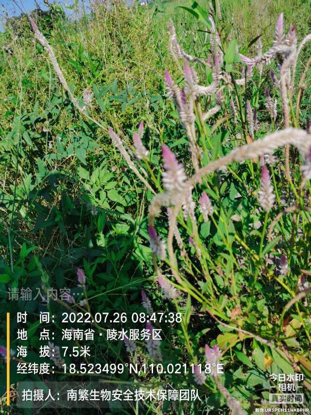 请输入内容…