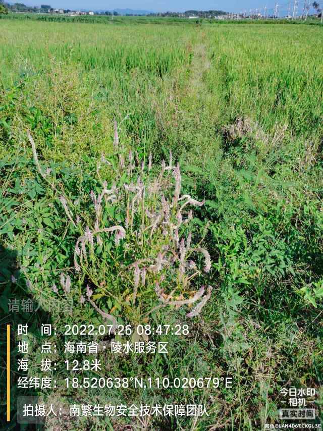 请输入内容…