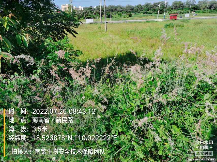 请输入内容…