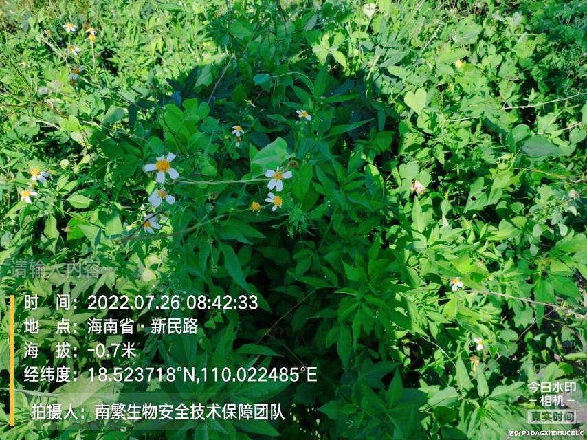 请输入内容…