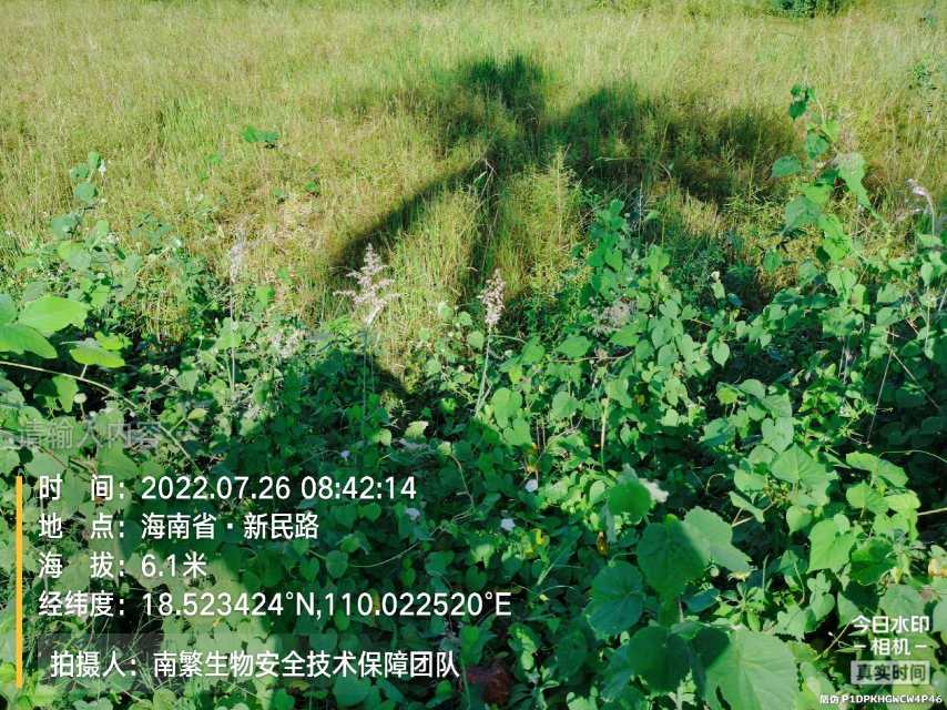 请输入内容…