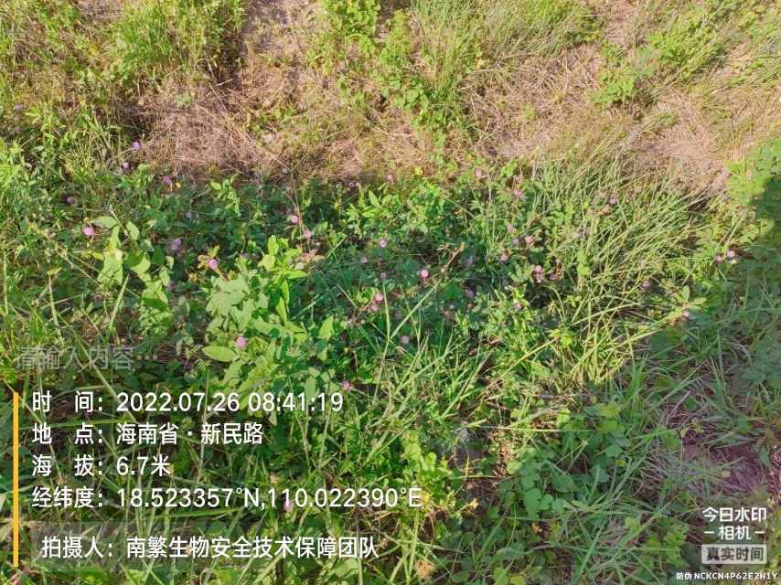 请输入内容…