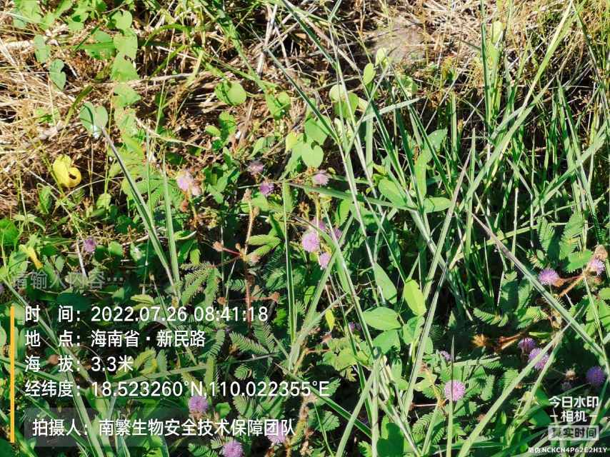请输入内容…