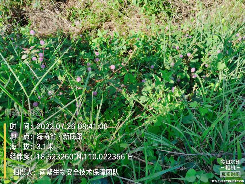请输入内容…