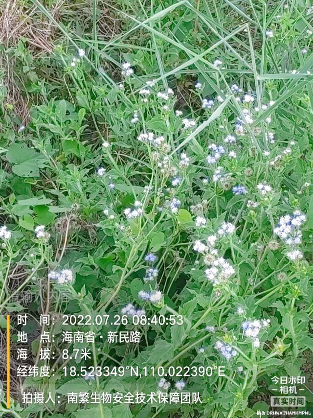 请输入内容…