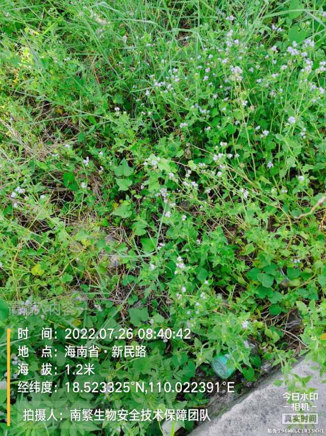 请输入内容…