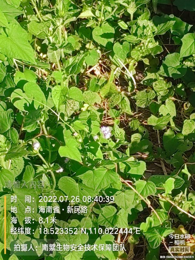 请输入内容…