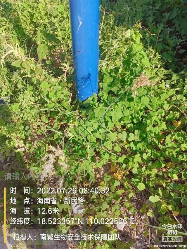 请输入内容…