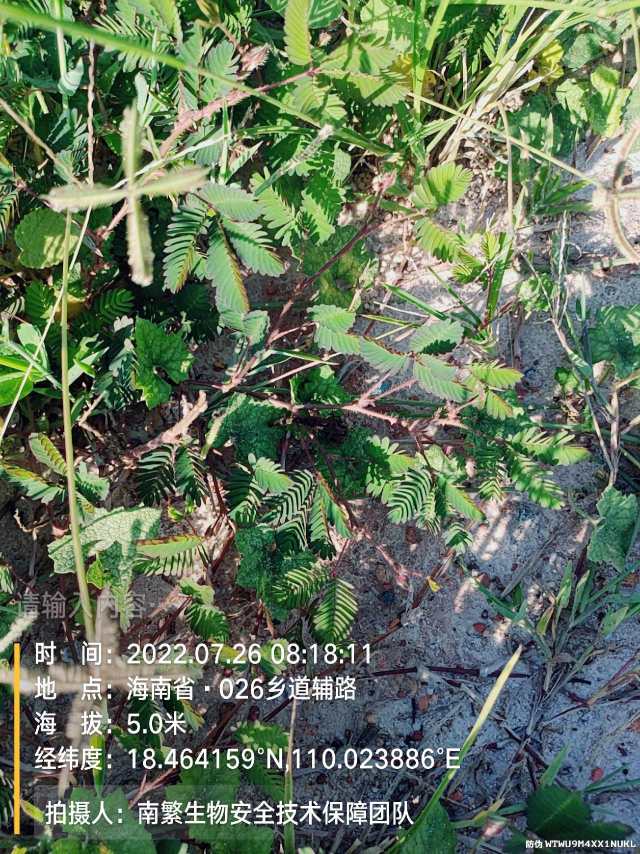 请输入内容…