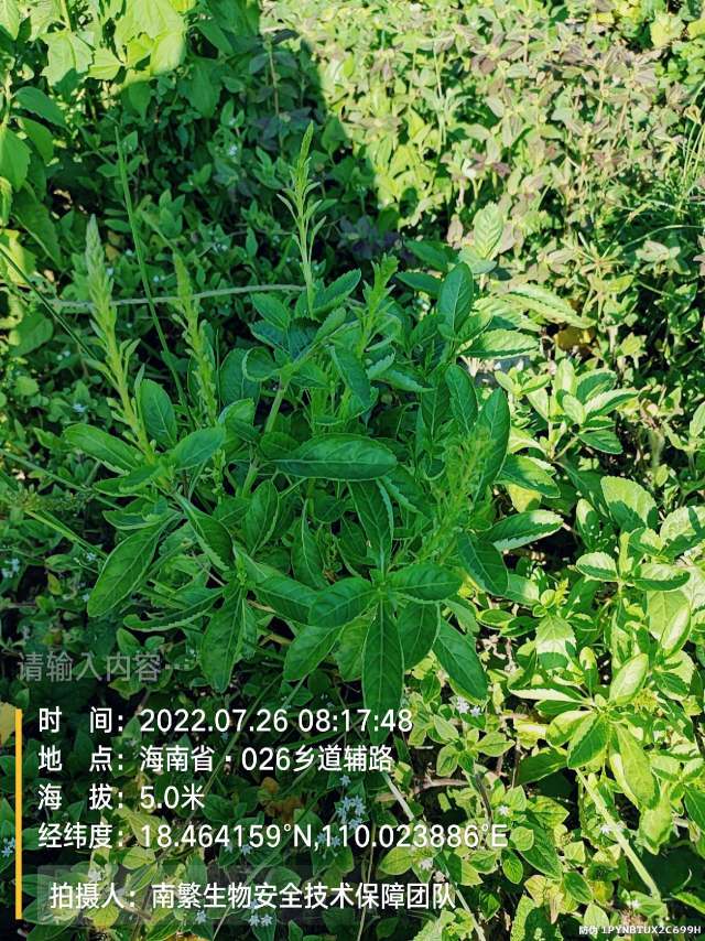 请输入内容…