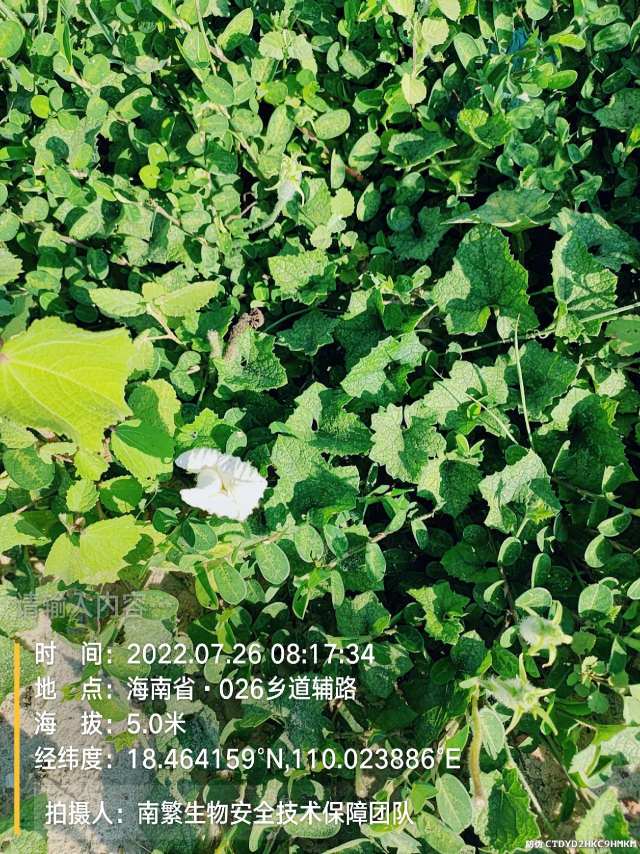 请输入内容…