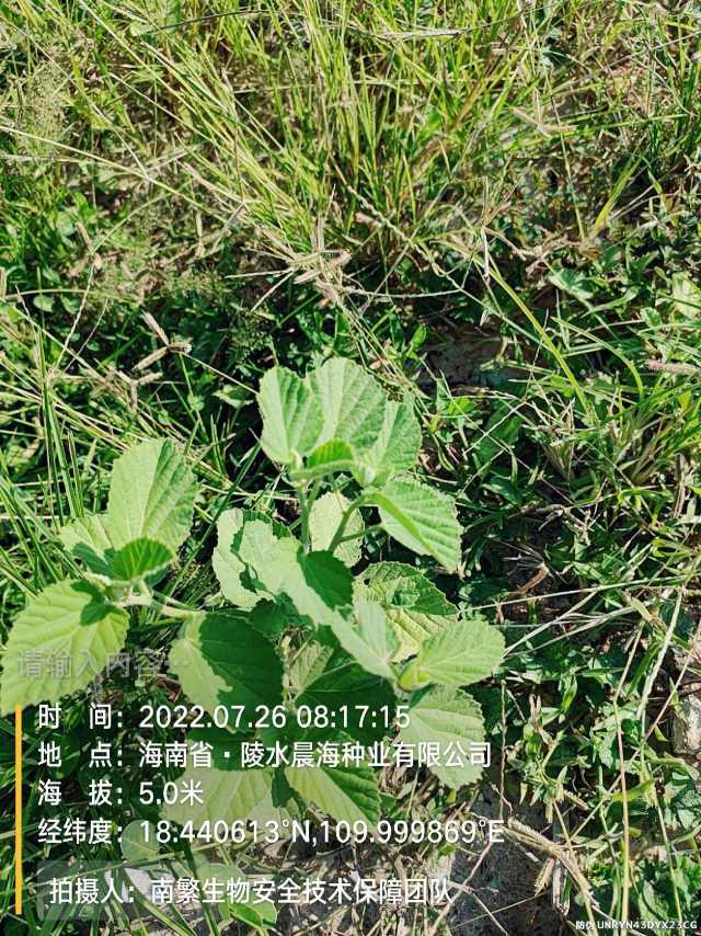 请输入内容…