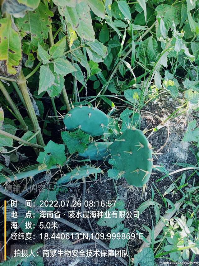 请输入内容…