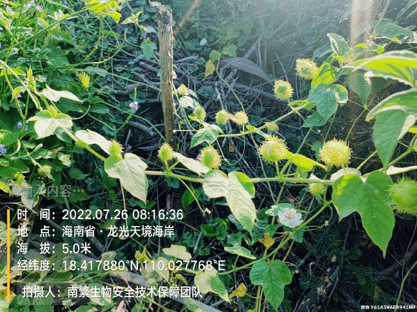 请输入内容…