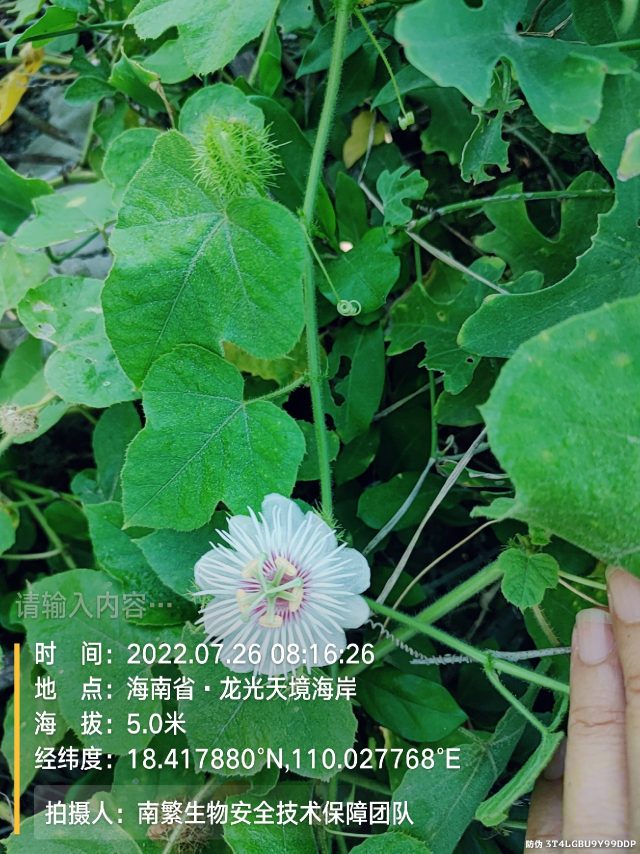 请输入内容…