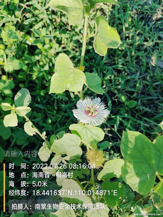 请输入内容…