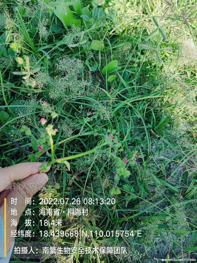 请输入内容…