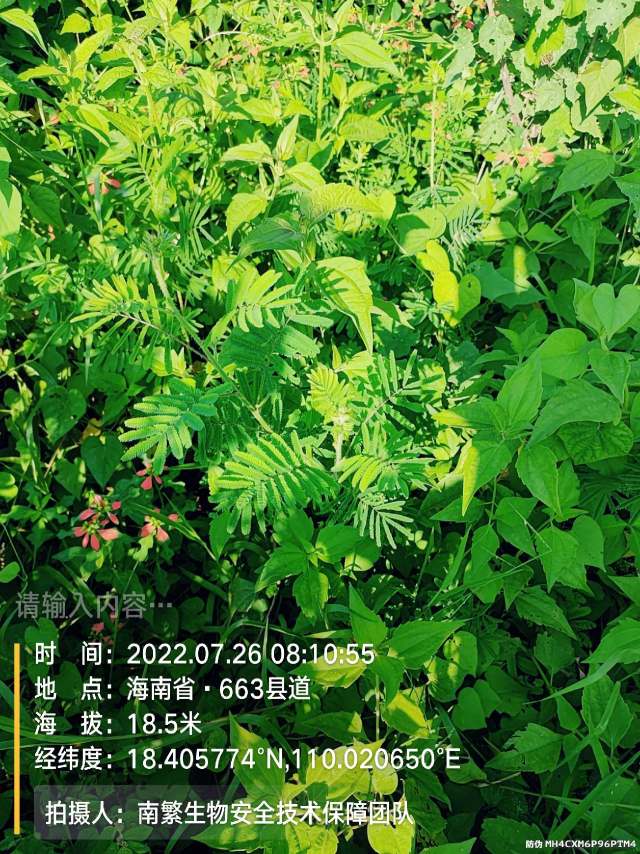 请输入内容…