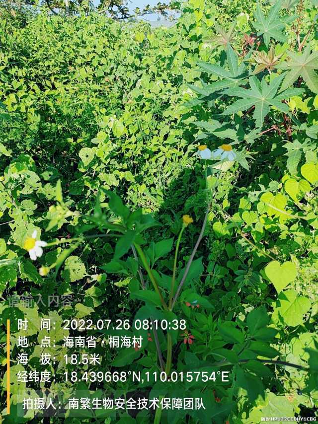 请输入内容…