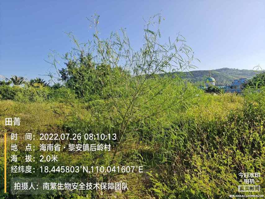 田菁