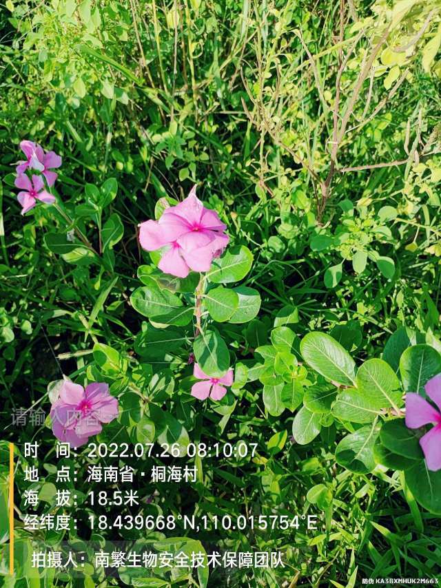请输入内容…