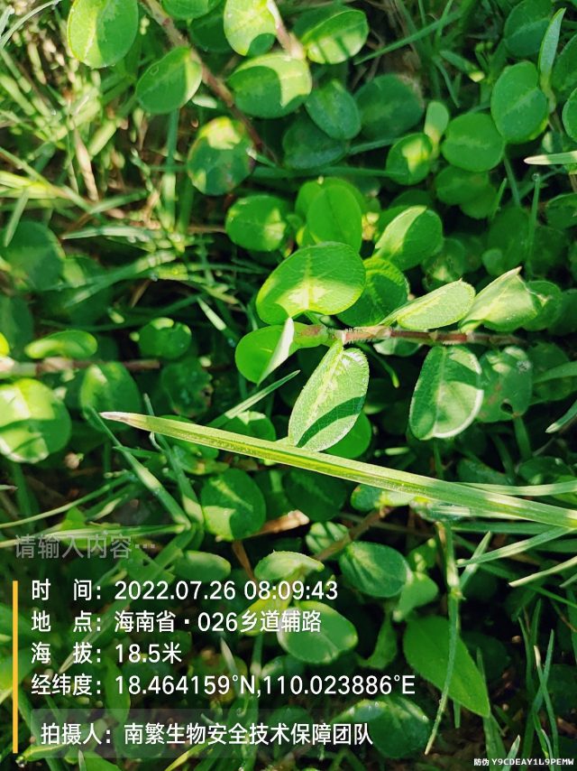 请输入内容…