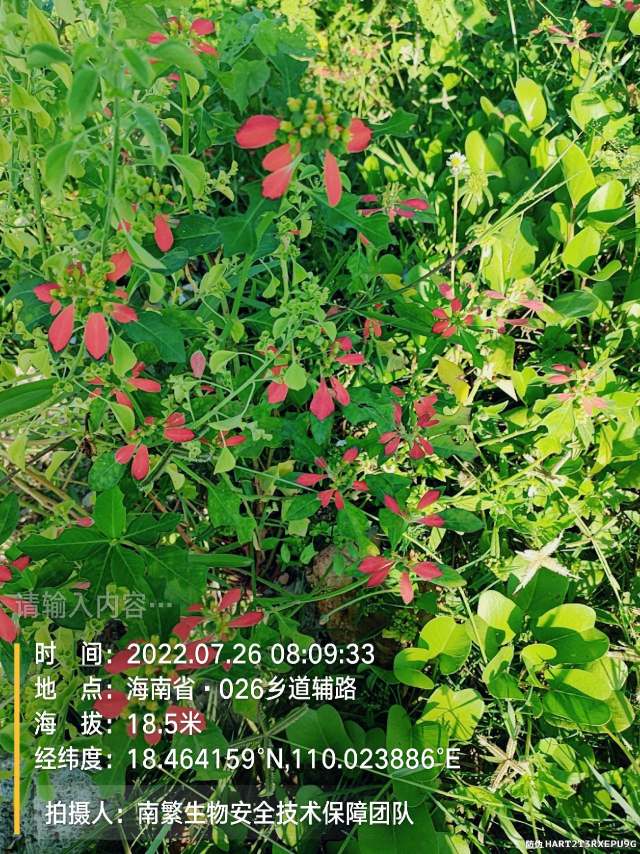 请输入内容…